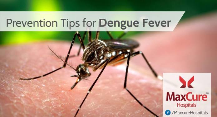 Prevention for dengue fever