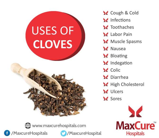 Uses of cloves
